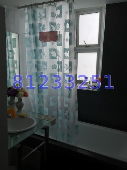 Park Green (D19), Condominium #66700742